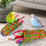 Kyouki seeking food basket showing treats hidden inside for foraging fun