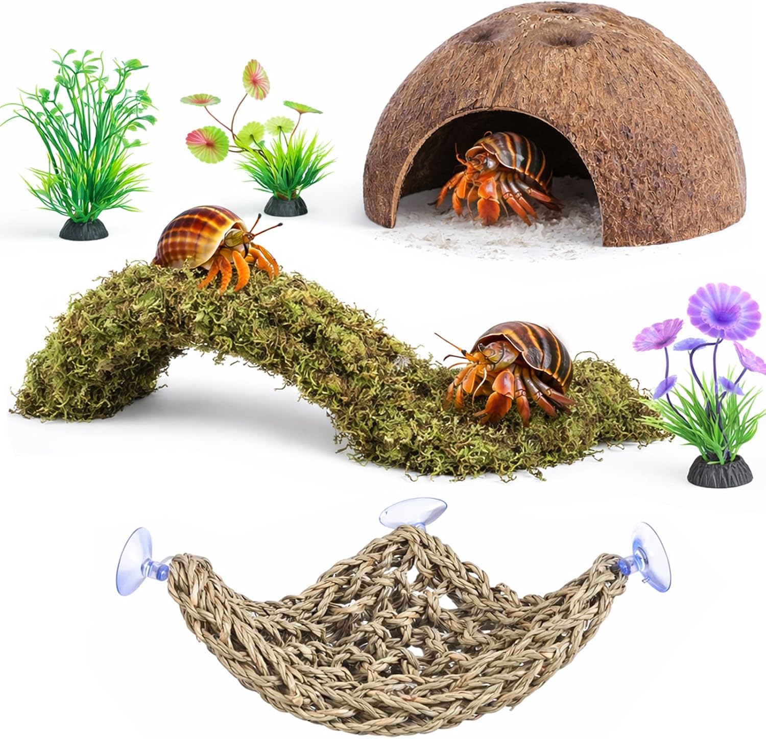 Hercocci hermit crab 6 piece habitat accessory kit front view