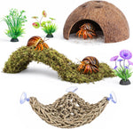 Hercocci hermit crab 6 piece habitat accessory kit front view