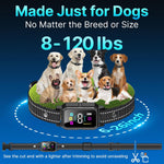 Complete 3-pack set of DcvPlan dog training collars