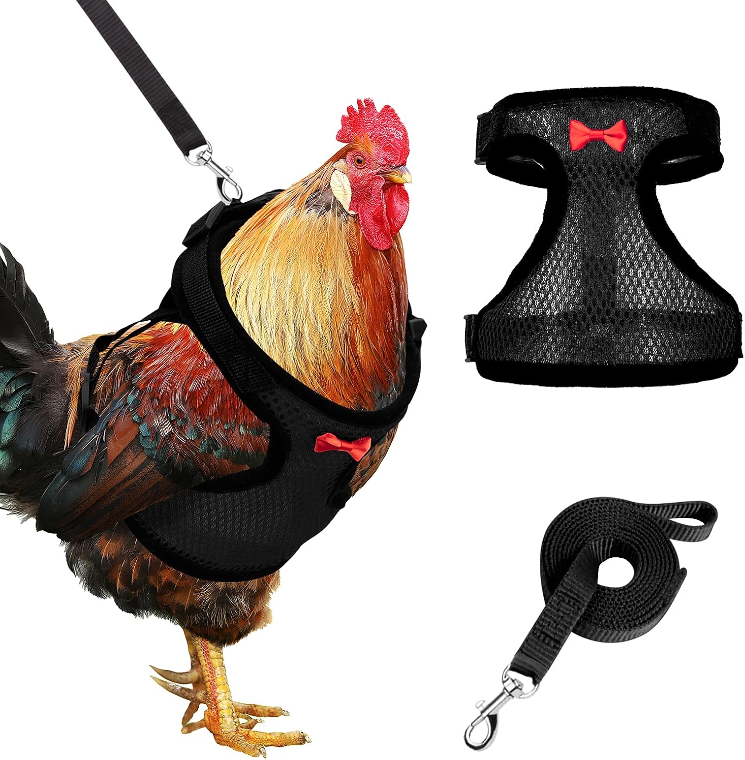 Adhafera black chicken harness and leash set front view