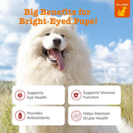 Zesty Paws dog eye supplement chicken flavor 90 count jar side view