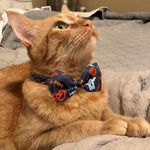 Flat lay of both Halloween themed cat collars included in the Pohshido set