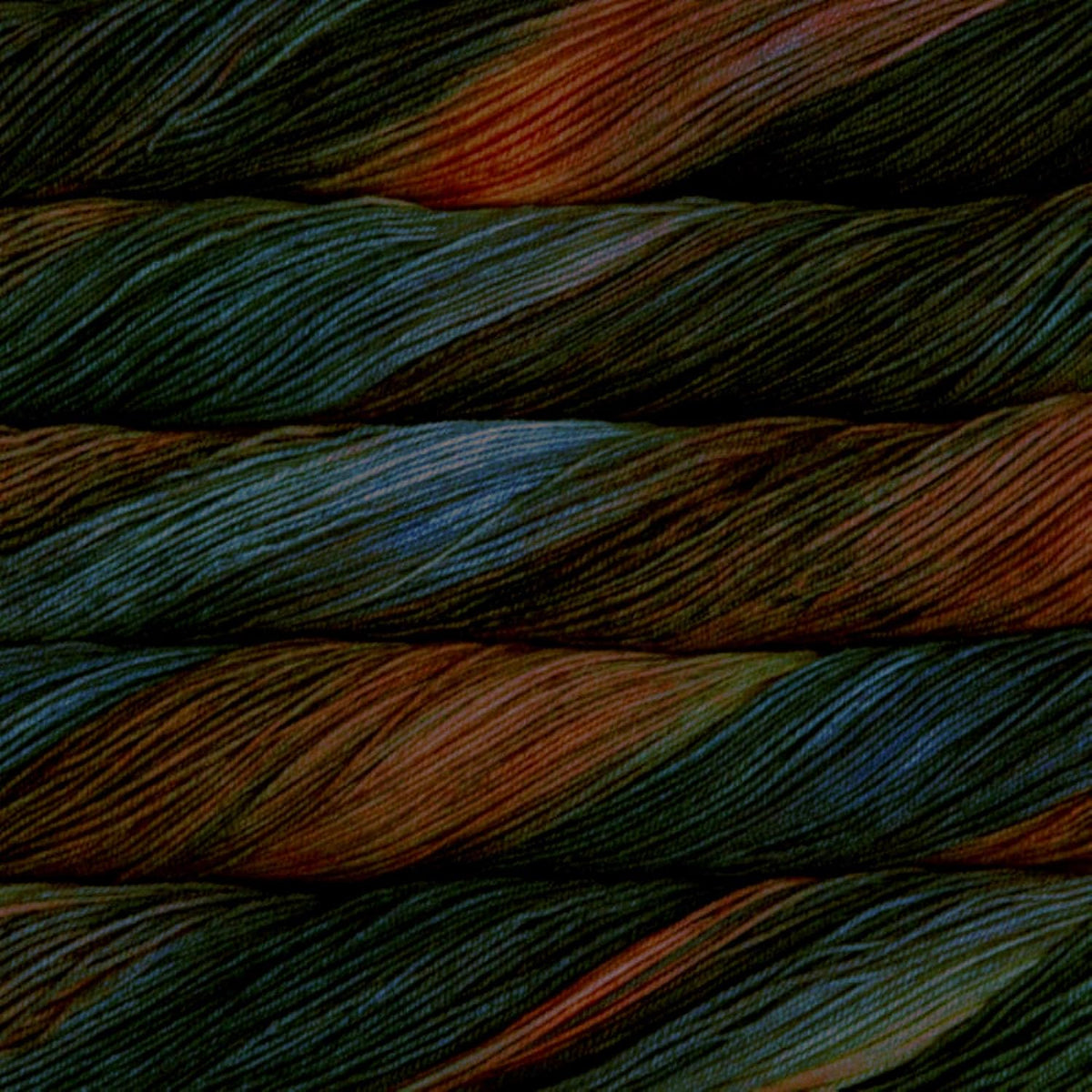Malabrigo Sock Yarn 139 Pocion front view hand dyed merino wool
