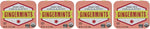 Imported USA organic ginger candy pastilles for natural digestion support