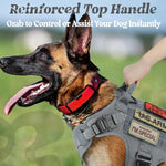 Top angle view highlighting the reinforced control handle and back leash ring