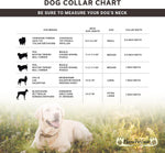 Moose Pet Wear tactical dog collar flat lay