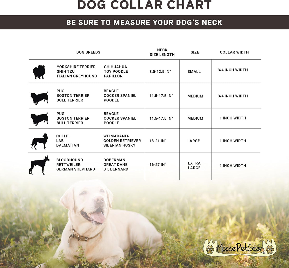 Moose Pet Wear tactical dog collar flat lay