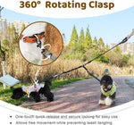 LEOSASA retractable bungee leash showing shock absorbing elastic action