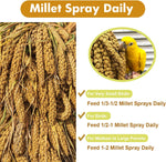 Authentic USA imported Jmxu's millet for parrots
