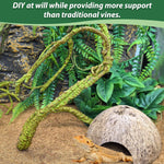 Fat size Pinvnby jungle vine displayed in a decorative terrarium