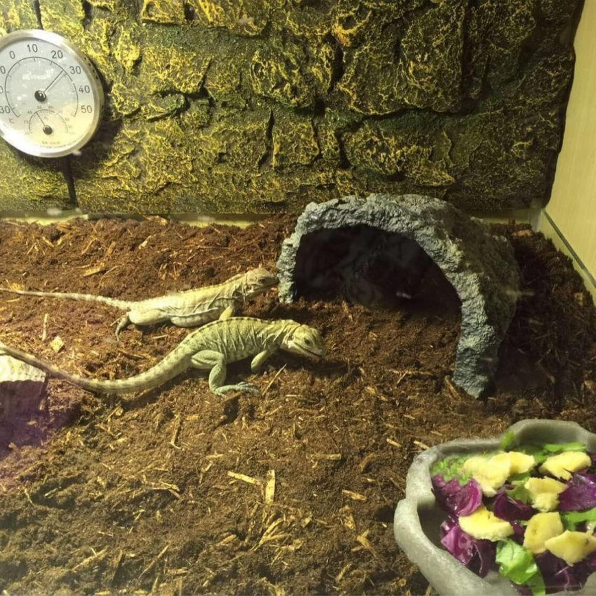 BNOSDM snake bedding applied inside a glass reptile terrarium enclosure