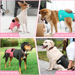 Paw Legend washable pet diaper showing adjustable sizing snap buttons