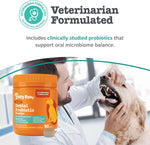 Zesty Paws oral and gut health probiotic powder for dogs jar