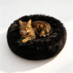 Cat resting in comfortable round pink fluffy pet bed