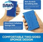 Dawn cleaning sponges packaging showing 12-pack quantity details