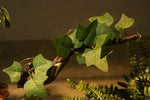 Close up of realistic resin texture on Aqua KT reptile branch