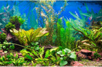Riivvdise aquarium background front view featuring vivid green aquatic plants for fish tank decoration.