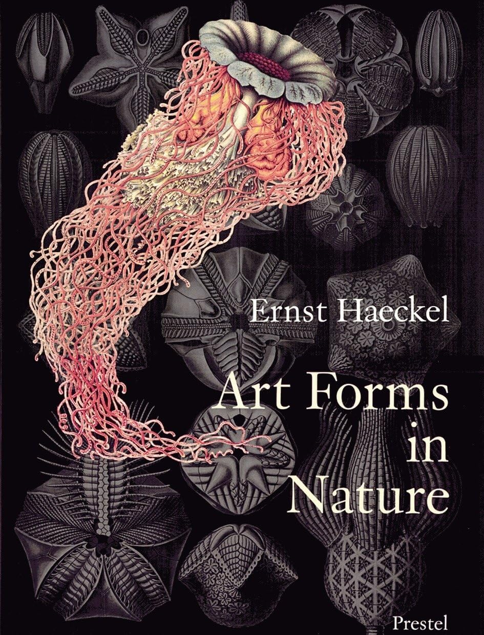 Art Forms in Nature: The Prints of Ernst Haeckel - Image 1
