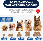 Bottle of Petsology dog chews for gut health