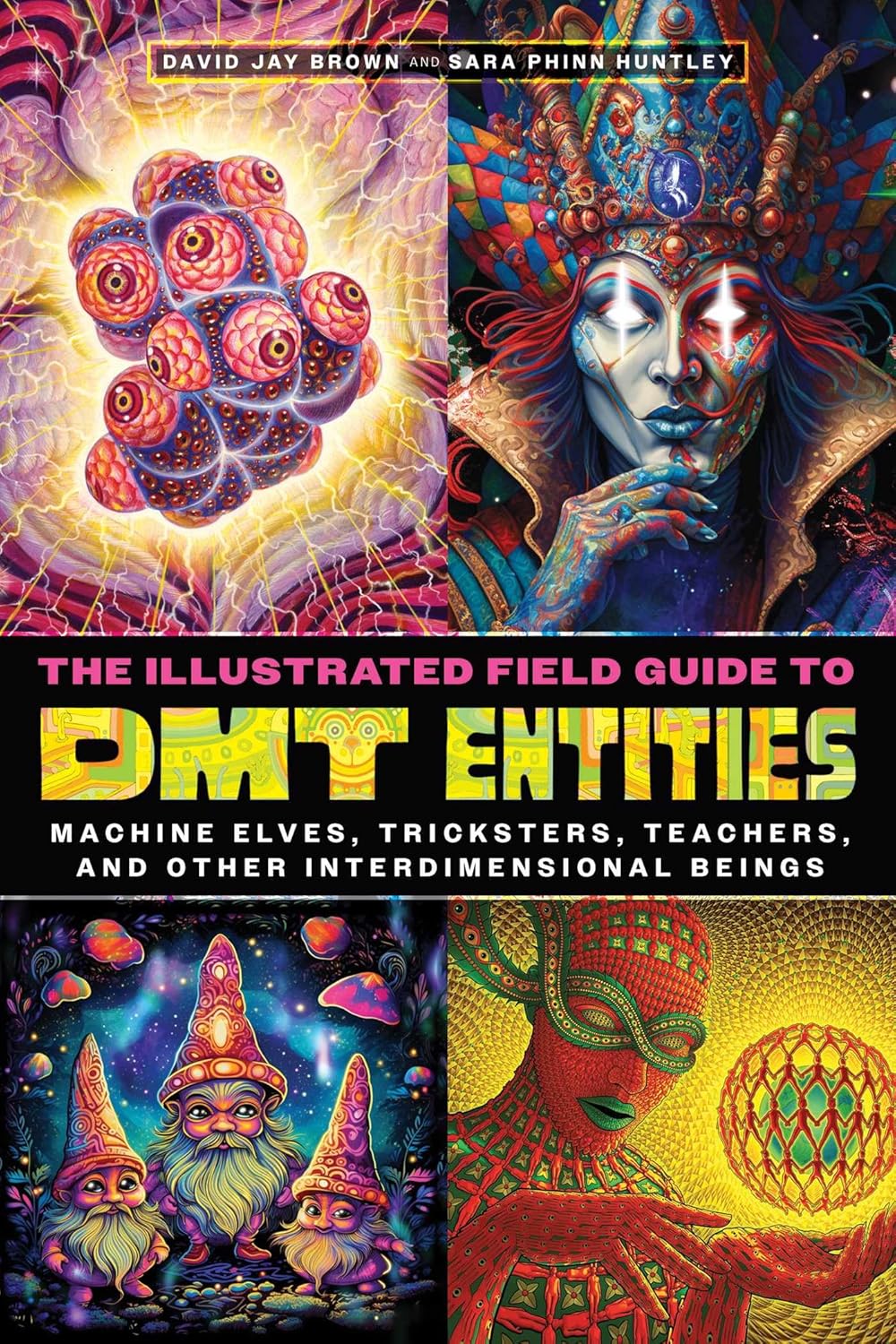 The Illustrated Field Guide to DMT Entities: Machine Elves, Tricksters, Teachers, and Other Interdimensional Beings - Image 1