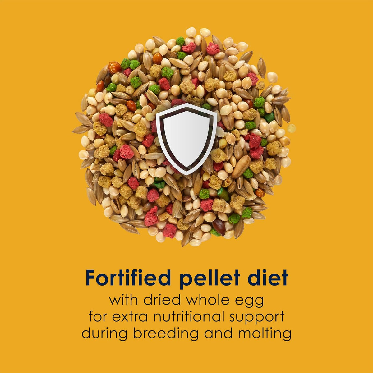 Graphic highlighting egg-based protein benefits for birds