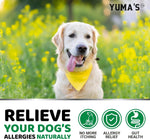 Salmon oil and colostrum dog allergy relief formula details