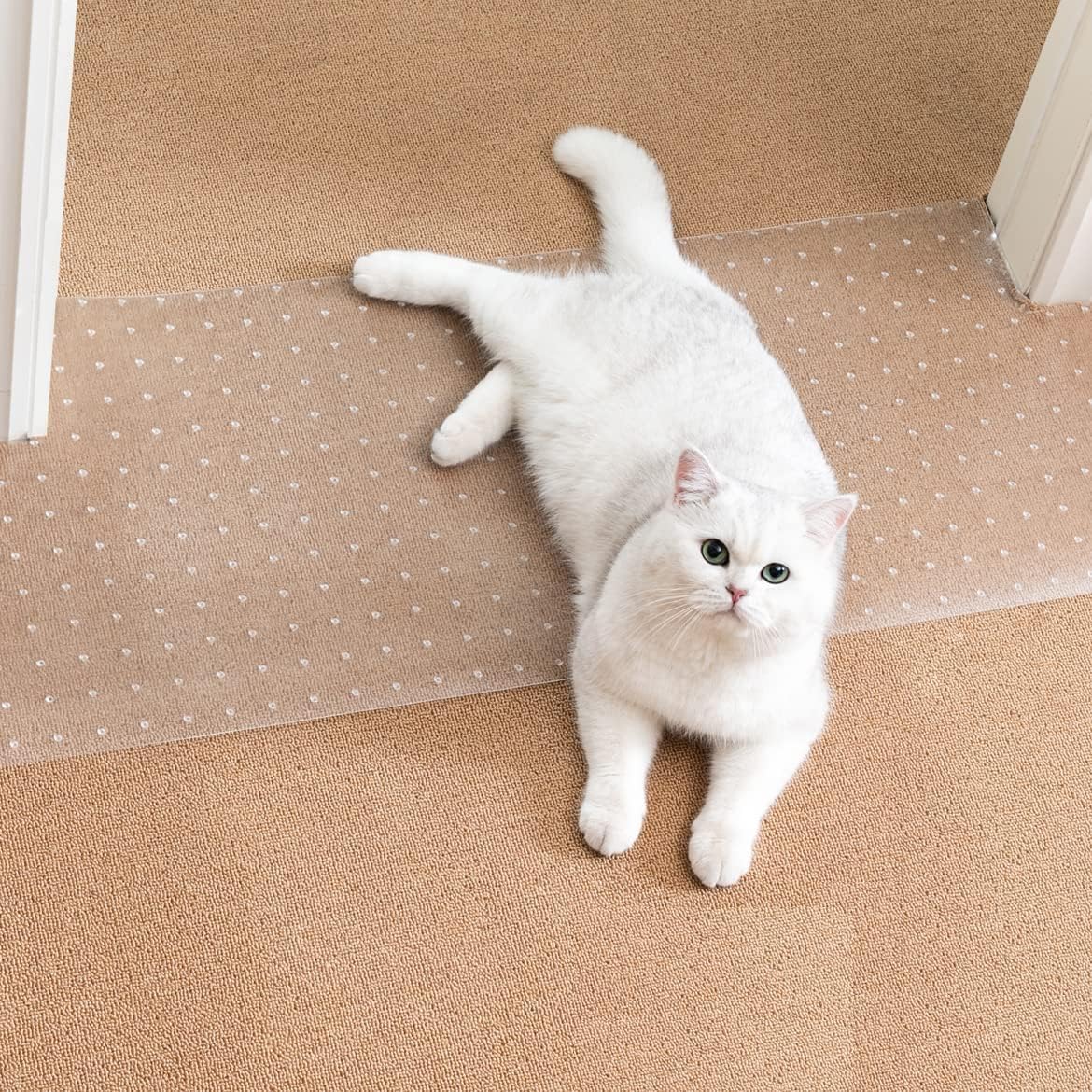 Uross Carpet Protector for Pets clear front view mat on carpet