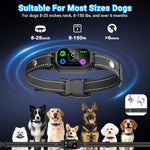 Remote control for Staalguard 2-in-1 pet training system