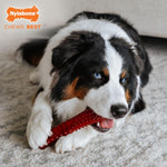 Nylabone Basted Blast dog toy packaging details