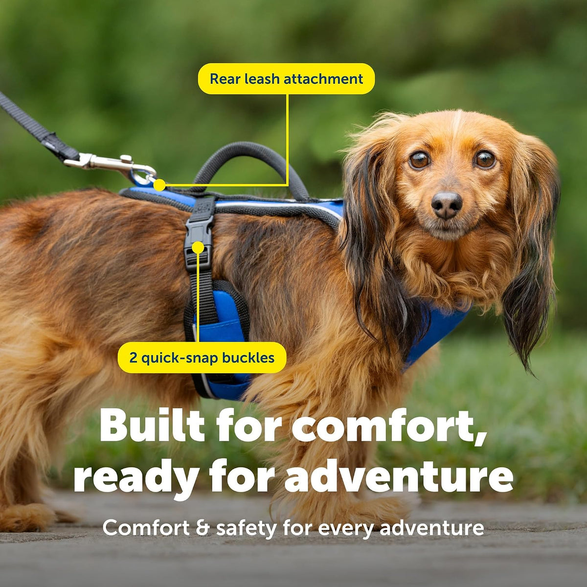 PetSafe EasySport harness top control handle close up