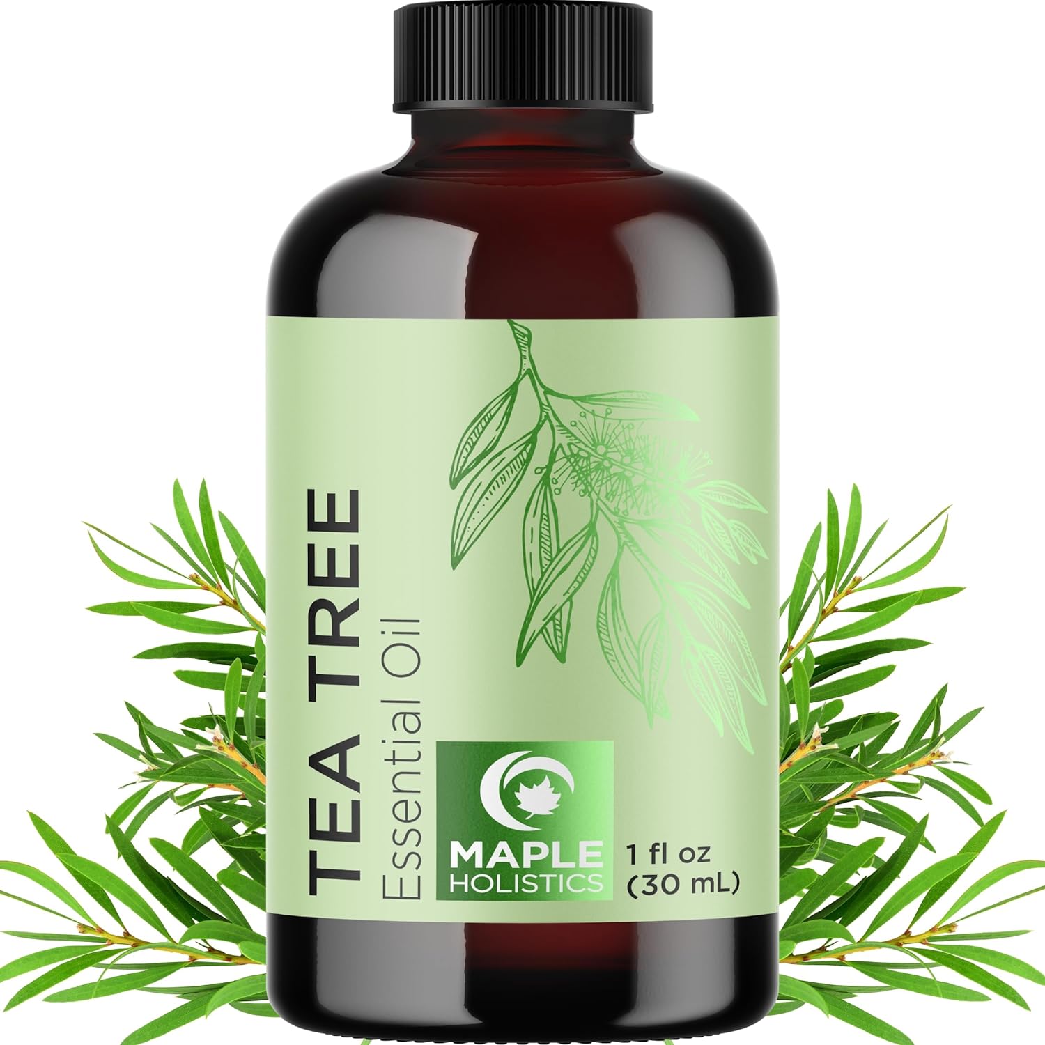 Pure Tea Tree Oil for Hair Skin and Nails - 100% Pure Undiluted Tea Tree Essential Oil with Dropper for Topical Uses Aromatherapy Diffusing and Home and Beauty DIYs - Vegan and Cruelty Free (1 Fl Oz) - Image 1