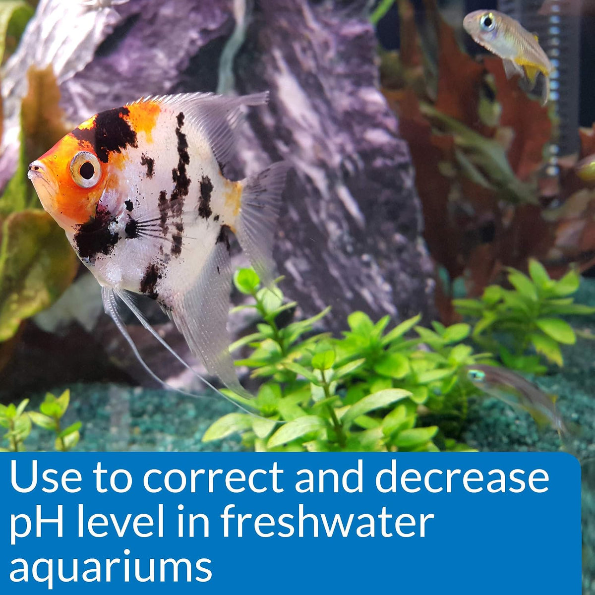 API aquarium pH adjuster bottle side profile showing liquid volume