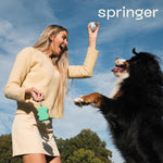 Springer travel friendly dog walk treat storage bag black