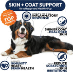 Petsology advanced joint health dog supplement chicken flavored chews close up texture.