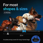 Charging port view of DogRook training collar