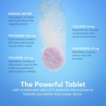 Nuun sports drink tablets nutritional information panel