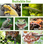 Three piece reptile habitat decor set for lizards