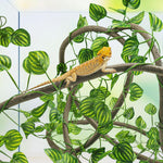 Crested gecko climbing on Quozuo bendable terrarium plants