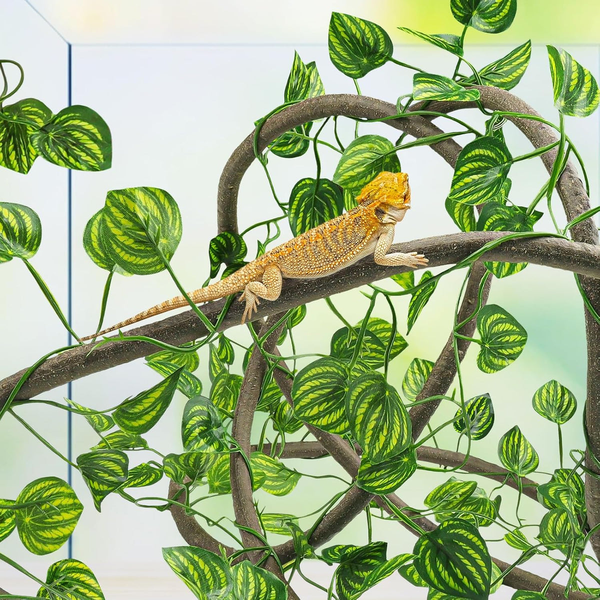 Crested gecko climbing on Quozuo bendable terrarium plants