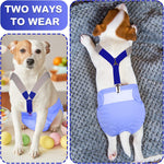 Premium USA imported dog diaper keeper set for pug and dachshund breeds