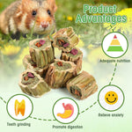 Abizoo bunny molar sticks displaying the wholesome texturized herbal filling