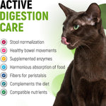 Golden Paw pet probiotic liquid dropper application demonstrating easy administration for dogs and cats.