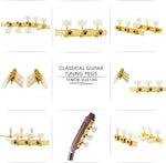 Tenor DJ312G guitar hardware packaging and parts