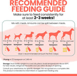 Chew + Heal Labs wild salmon oil for pets joint support liquid formula bottle.