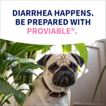 Nutramax Proviable Probiotics for Dogs, Diarrhea Support Kit, Digestive Health Supplement with Multiple Strains of Bacteria, Plus Prebiotics, Kaolin and Pectin, 30 ml Paste and 10 Capsules - Image 12