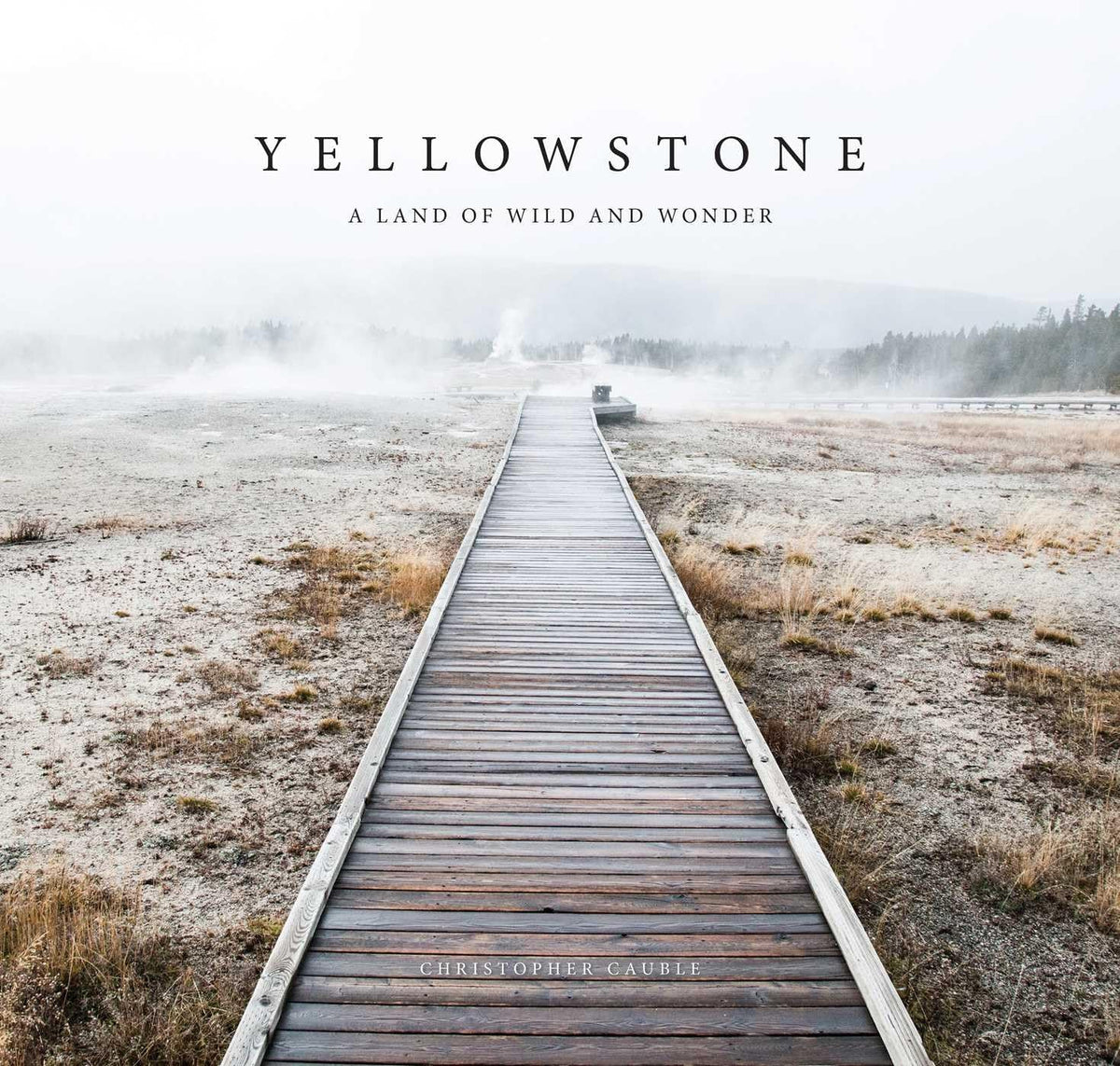 Yellowstone: A Land of Wild and Wonder - Image 1
