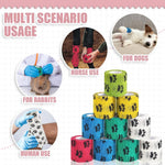 Pet paw wrapped in KkvoGmle cohesive bandage
