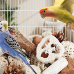 Kyouki interactive bird toy close up of coconut shells and sola fibers.
