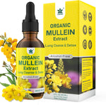 Lilicare Mullein Drops 2 Fluid Ounces front view for respiratory support